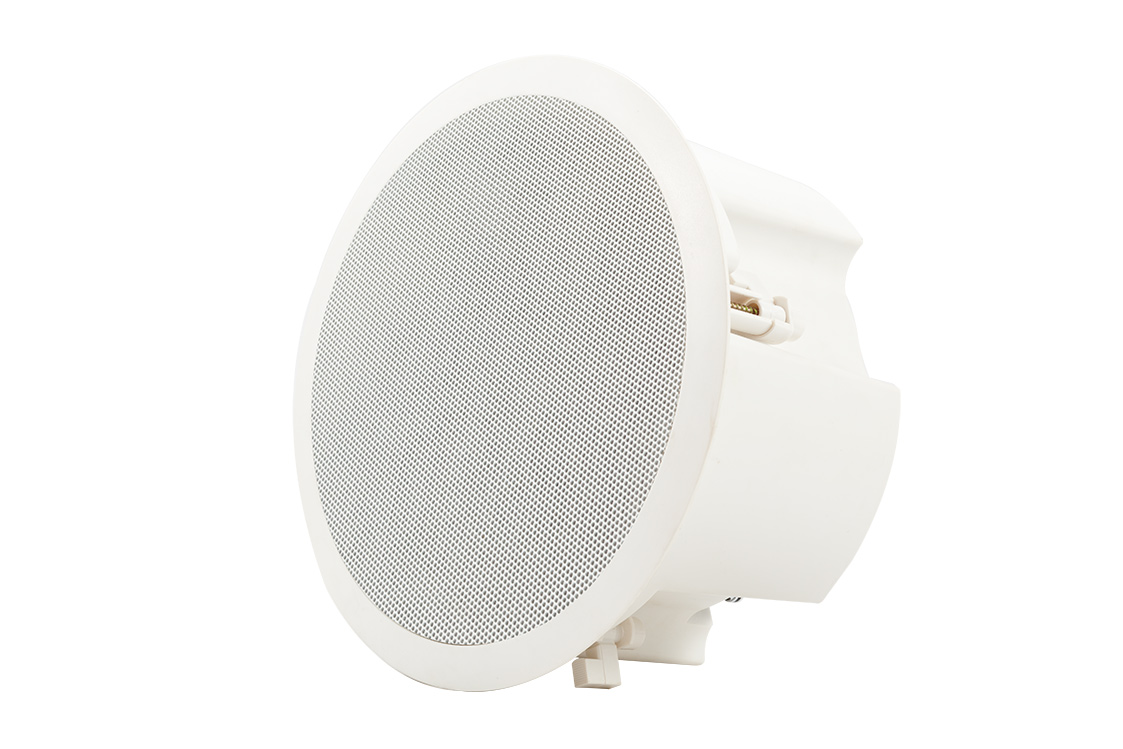 Zvučnik od 100 V - 100 W